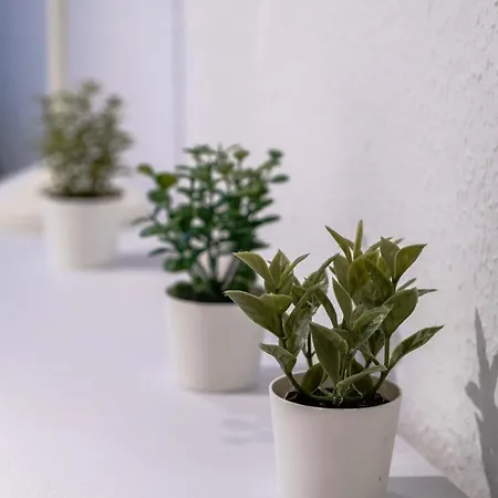 Apartamento Central, Cozy, Bright Design 3 Greifswald