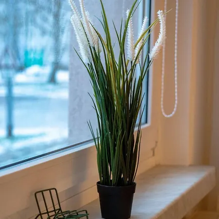 Appartement Central, Cozy, Bright Design 3 *