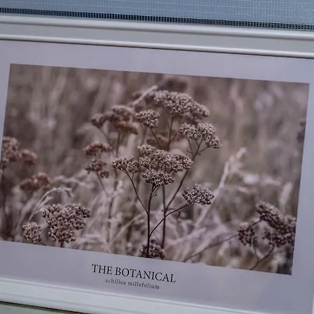 Central, Cozy, Bright Design 3 * Greifswald