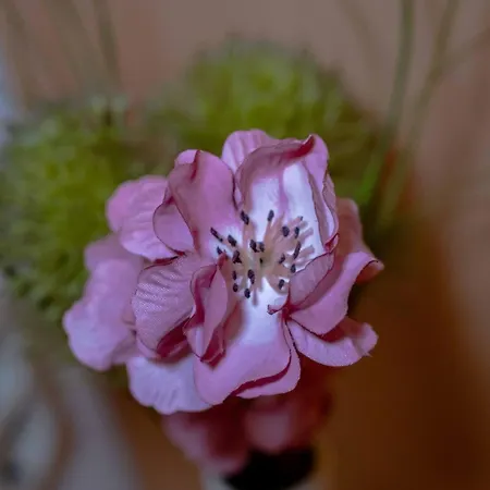 Central, Cozy, Bright Design 3 Apartamento Greifswald