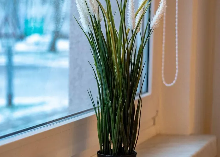 Apartment Central, Cozy, Bright Design 3 *