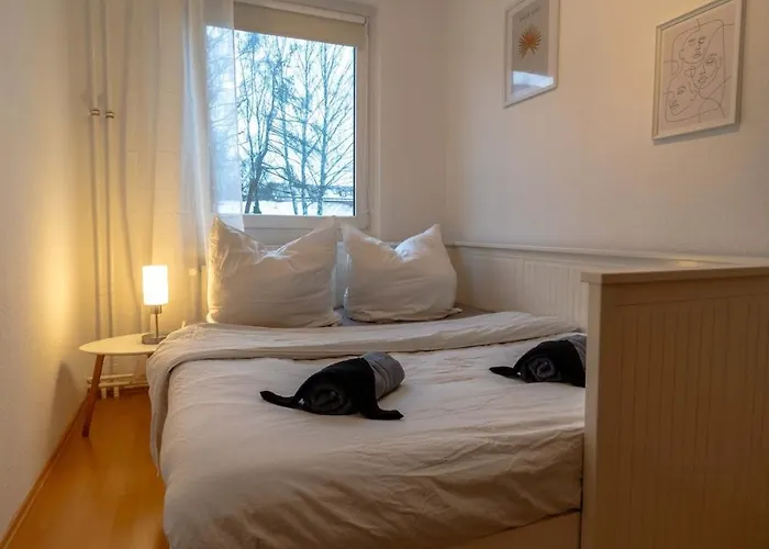 Central, Cozy, Bright Design 3 Apartment Greifswald